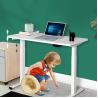 China Small Office Coffee Standing Table Contemporary Multifunctional Desk with Dual Motor wholesale