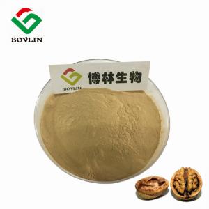 Organic Walnut Peptides Powder For Nutraceuticals 80%