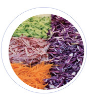 China Machine électrique de transformation de fruits et légumes avec 0,75 1,1 kW de puissance affichage numérique supplier