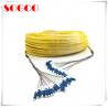 Network Bunchy Type Breakout Armored Fiber Cable