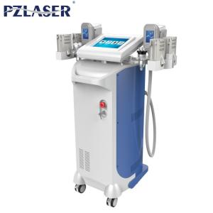 China Salon Cryolipolysis Body Slimming Machine Cellulite Reduction System No Down Time supplier