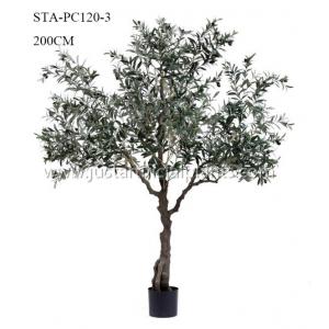 Plants   Artificial Olive Tree Premium Foliage Vibrant Color 200CM No Trimming