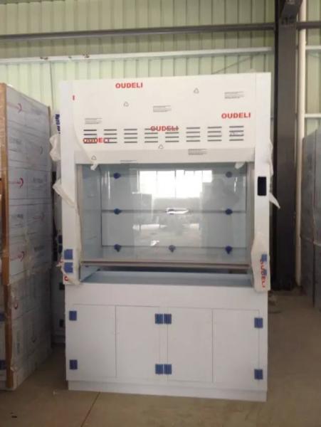 Hot Sale PP Fume Cabinet Lab Furniture Low Cost Standard Fuming Cupboard CE