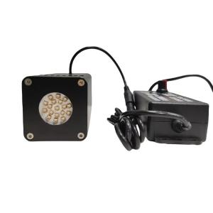 China 50W Adaptador de energía portátil de luz UV lámpara de linterna para pintura de automóviles personalizada Tinta de impresora UV wholesale