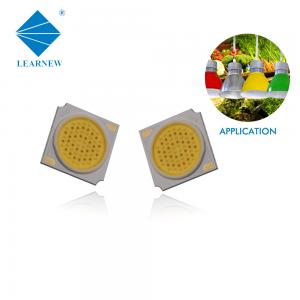 China 2400-2600K High Cri  led cob chips   30W fresh light Epistar chip supplier