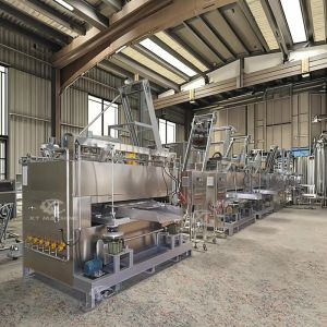 50-100kg/h Nut Swing Roaster Machine with PLC Control