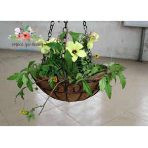China Wall Decor Indoor Hanging Flower Baskets , Round Hanging Plant Holders supplier