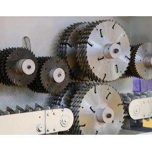China 200mm Gang Rip Saw Blades , Professional Table Saw Blades Precise Segment Size supplier