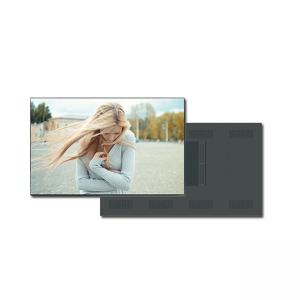 China AUO LG Samsung BOE LCD Panel Kit Big LCD Screen Video Panel Replacement Panel 42 55 65 Inch Indoor supplier
