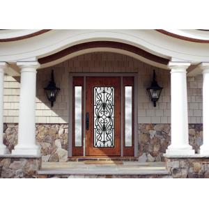 Personal Style Spray Coating Wrought Iron Glass Door With Hot Dipfabricated