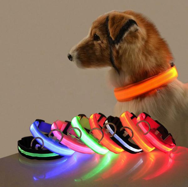 Abs Usb Led Dog Collar Lead Collar For Dogs with Water Resistant Flashing Light