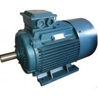 China GOST Standard y2 3 Phase 4 Pole Induction Motor / Three Phase Electric Motor on sale