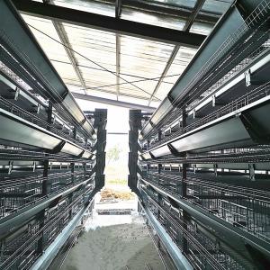SGS 90-384 Birds Battery Chicken Cage System 1950x2300x1500mm Size