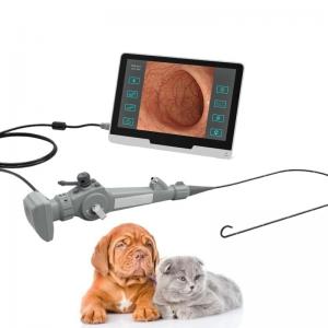 China Portable Flexible Video Endoscope For Animal Cystoscopy Bronchscopy supplier