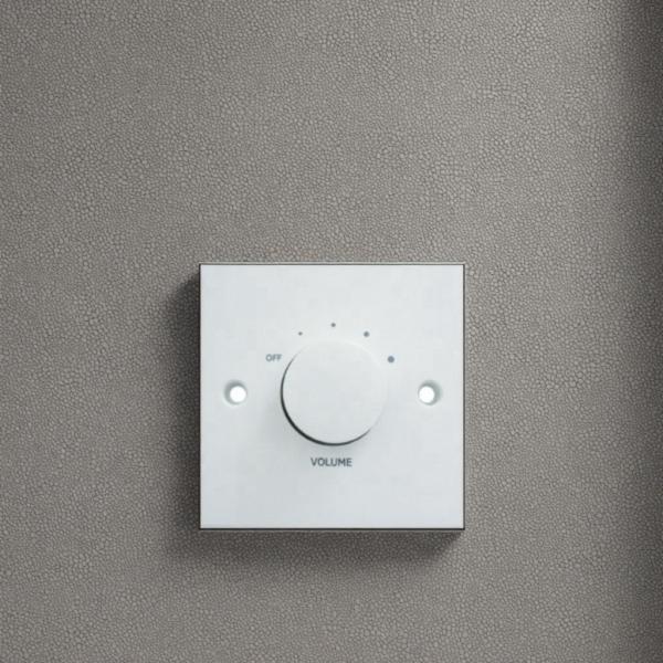 30Wオーディオ制御 壁掛け音量コントローラー 音声増幅器調整