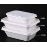 China Rectangular Decomposable 800ml Bio Takeaway Containers wholesale