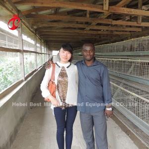 120 Birds Layer Battery Cage System 450cm2 Long Lifespan CE Star