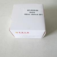 China First Strand CDNA Synthesis Kit R1011/R1012 Reverse Transcriptase PCR Reagents on sale