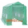 Polycarbonate Plastic Sheet Agricultural Mini Garden Green House Walk In Dome