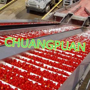 China Streamlined Tomato Processing with Customized Tomato Production Line supplier