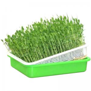 China Polystyrene Heat Preservation Plastic Sprouting Trays Hydroponic Plant Trays supplier
