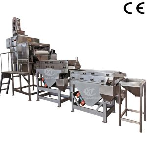 Déchiffreur de cacahuètes en acier inoxydable entièrement automatique pour usine de transformation de cacahuètes