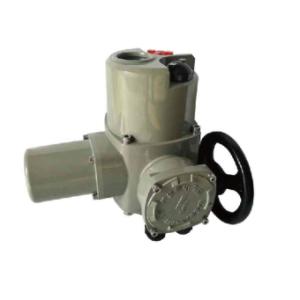 China Bonray BJ-Q BD-A serial intelligence actuator BD350A-A BD350B-A BD500-ABJ05-IIC BJ10-IIC BJ15-IIC BJ20-IIC BJ30-IIC BJ40-IIC BJ60-IIC BJ80-IIC BJ100-IIC BJ101-IIC BJ150-IIC BJ200-IIC BJ330-IIC BD05-II wholesale