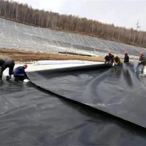 China White HDPE Geomembrane Fish Farming Tank Pond Liner for Fish Ponds and Long-Lasting supplier