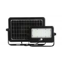 China Outdoor Solar Powered Led Flood Lights Waterproof With Motion Sensor Double Side Solar Panel on sale