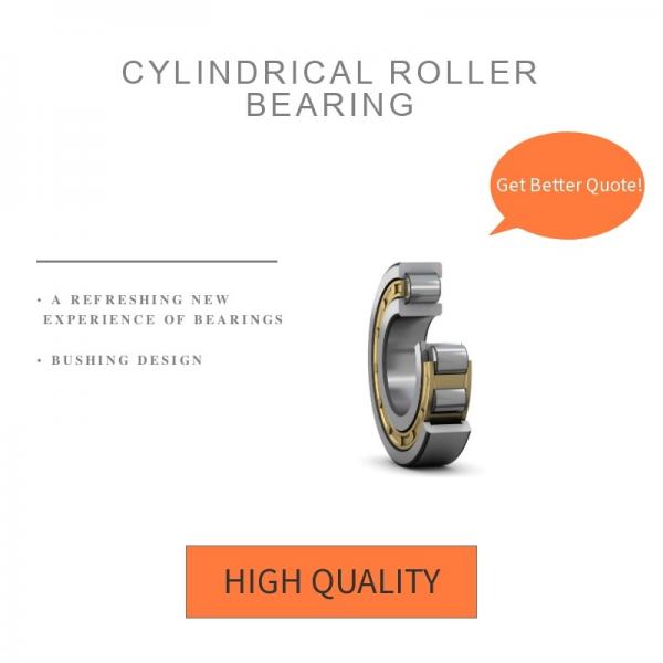 Automotive High Rigidity Single Row Cylindrical Roller Bearing, china supply,
