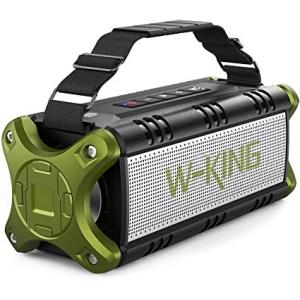 60W Waterproof IPX5 Bluetooth Wireless Speaker with TWS, DSP, TF Card, Equalizer & Subwoofer