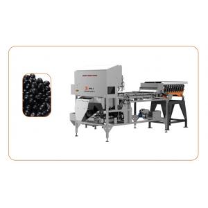 Black Beans Infrared Sorting Machine More Than 1T/H