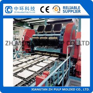 Large Output Pulp Egg Tray Machine 100kw  Molding Rotary Fully Automatic