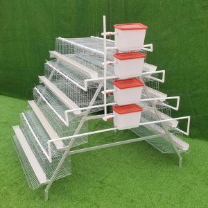 China Farming A Type Mini Poultry Cages Chicken Layer 4 Tier 160 Birds supplier