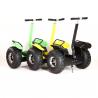 China Gyropode 1000W Electric Scooter Segway / Two Wheels Stand Up Scooter Off Road wholesale