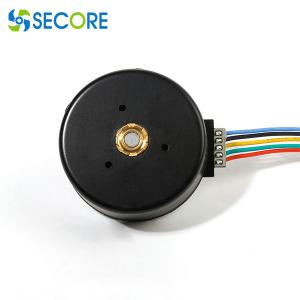 China Relaxation Massager 12v Outer Rotor BLDC Motor Brushless 3000rpm With Speed Controller supplier