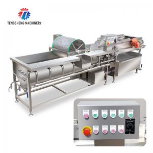 1000KG/H Vegetable cleaning equipment 304 stainless steel eddy current vegetable washing machine vibration drain machine