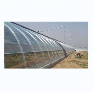 China Single Layer Brick Wall Solar Greenhouses 8m-16m Width With Insulation Blanket supplier