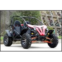 China 250cc Go Kart Dune Buggy Racing Kart For Adult With 2 Big Head Lights on sale