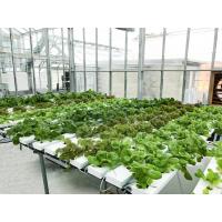 China Manual CO2 Control Hydroponic Growing System For Nutrient Delivery Drip And Ebb And Flow on sale