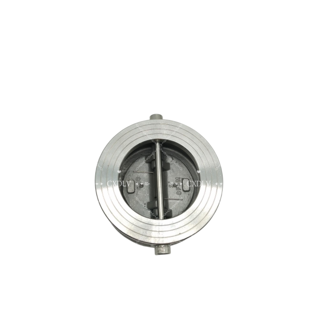 China 150LB Super Duplex 2507 Wafer Dual Plate Check Valve Sea Water Duo Check Valve on sale