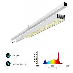 Strawberry Cultivation Greenhouse Led Grow Light Supplemental Lighting For Soft Fruit