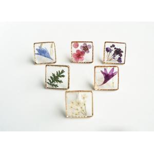 Nami Design Studio Handmade Plant Cube Real Flower Delicate Jewellery Earrings For Girl Friend