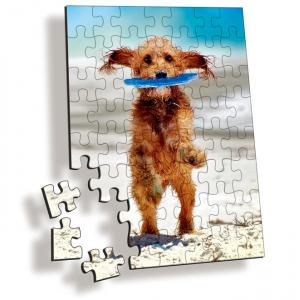 PLASTIC LENTICULAR cheap kids toy plastic 3d puzzle pp pet customized 3d lenticular jigsaw printing lenticular puzzle