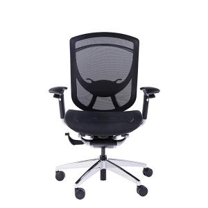 IFIT Black Ergonomic Desk Chair With Lumbar Support Adjustable Full Mesh