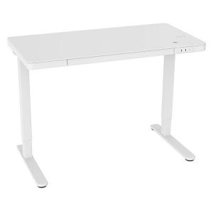 Modern Electric Height Adjustable Desk for Home Office 710 mm Small Glass Computer Stand