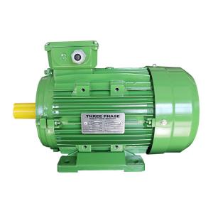 MS100L1-4 3 Phase Induction Motor Squirrel Cage 3HP 2.2KW 400V 60HZ IE1 Efficiency