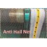 China Hail Net /Hail Protection Net/ Anti-Hail Netting wholesale