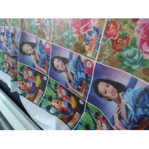 China 100% Polyester Windows Curtain / Flag Fabric 110-250 G / GSM supplier