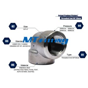 China Coude de 3/8 pouce ASME B16.11 F316/316H 3000LBS avec l'extrémité marchée pour la connexion supplier